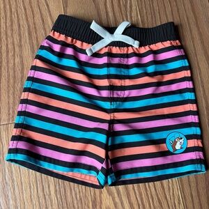 Buc-ee’s Boys Swim Trunks 2T Colorful Striped Beaver Logo Unlined